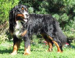 ALEX - 2 roky