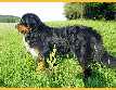 Alex-PICT0009.jpg