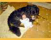 Alex-PICT0046.jpg