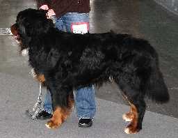 ALEX - 2,5 roku