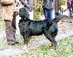 Poly_Povask podhradie_ 2009