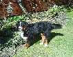 beda12_15_4_07_DSC00238.jpg
