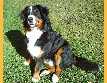 beda13_15_4_07_DSC00238.jpg