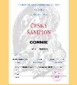 Misa_cesky_sampion.jpg