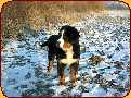 100_0008-h.jpg