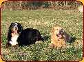 Connie a Sally